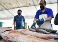 «Pega» a consumidores aumento en precio de pescados y mariscos de un 40%»