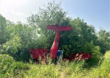 Cae avion encima de algunos arboles en Weslaco,Texas