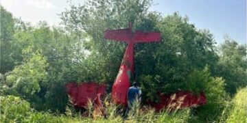 Cae avion encima de algunos arboles en Weslaco,Texas
